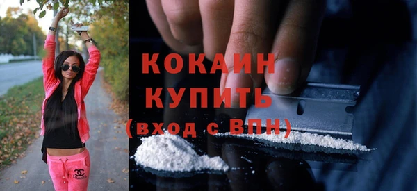 стафф Алексин