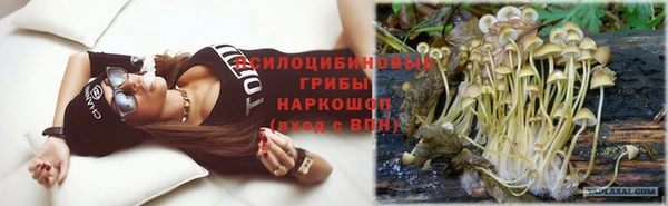 МДПВ Алексеевка