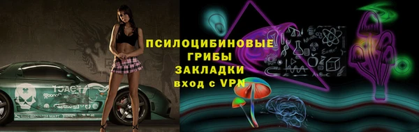 стафф Алексин