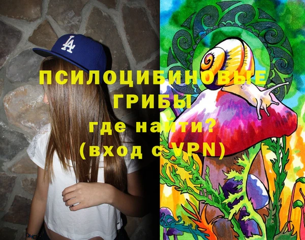 МДПВ Алексеевка