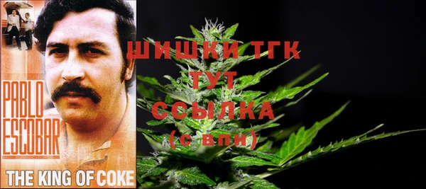 дмт Абинск